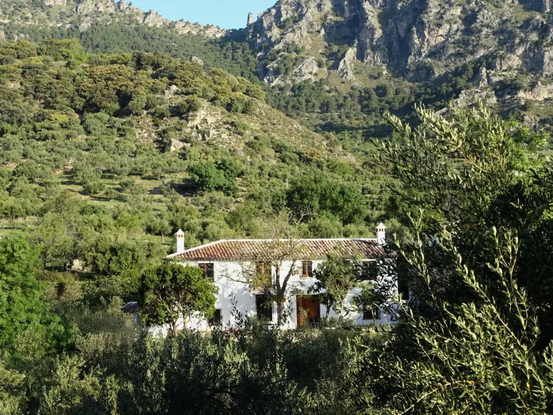 Maison de Vacances Sierra de Cádiz / Grazalema