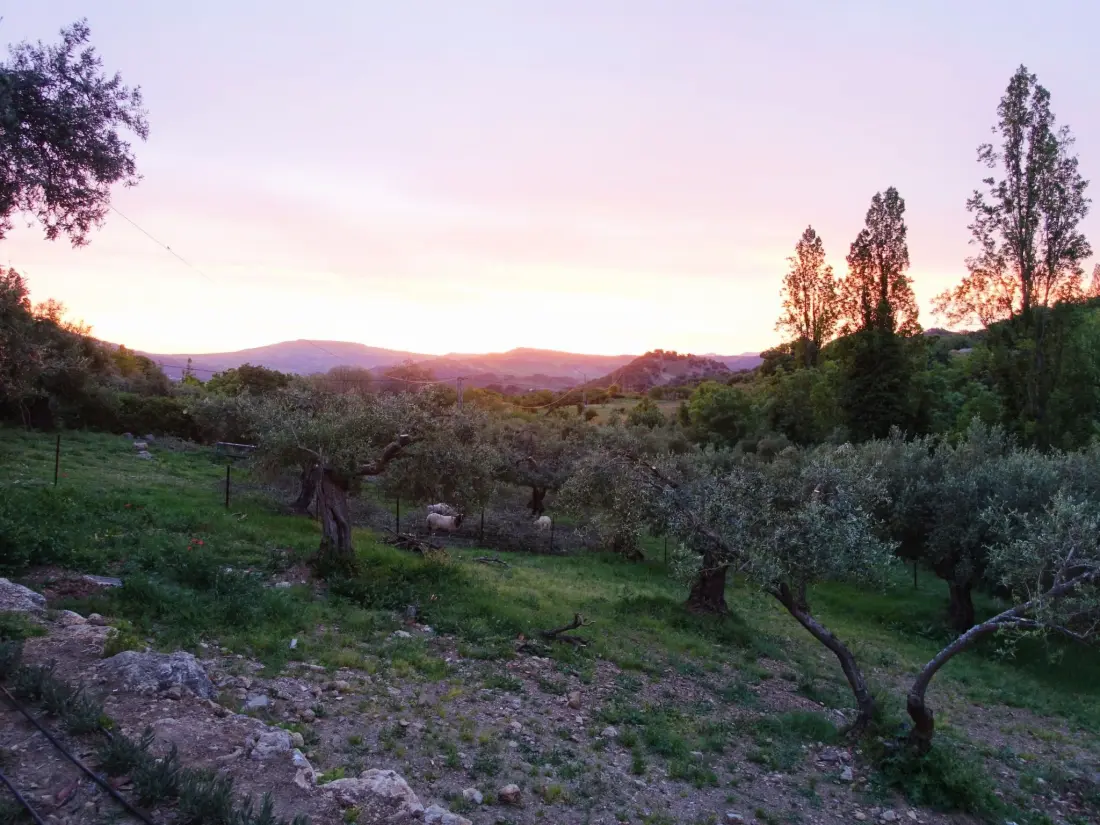 Maison de Vacances Sierra de Cádiz / Grazalema