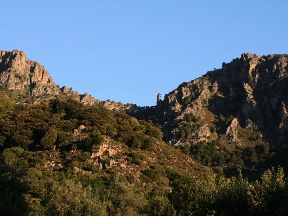 Maison de Vacances Sierra de Cádiz / Grazalema