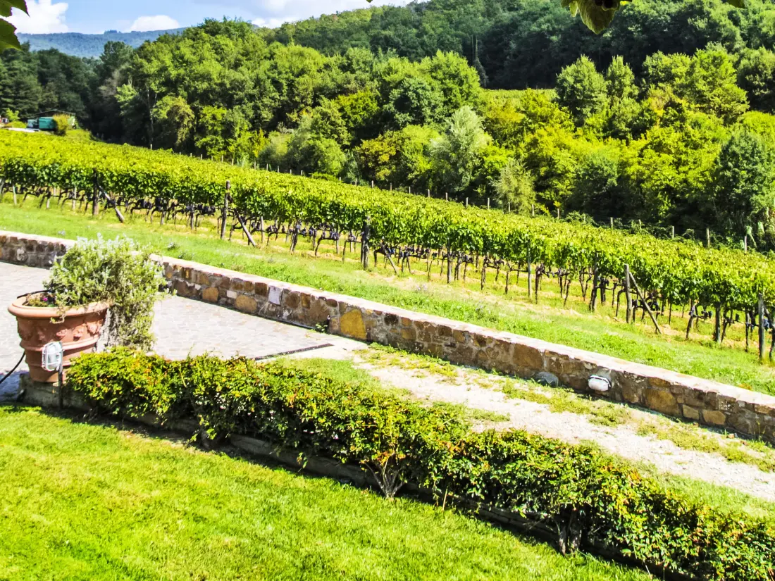 Maison de Vacances Greve in Chianti