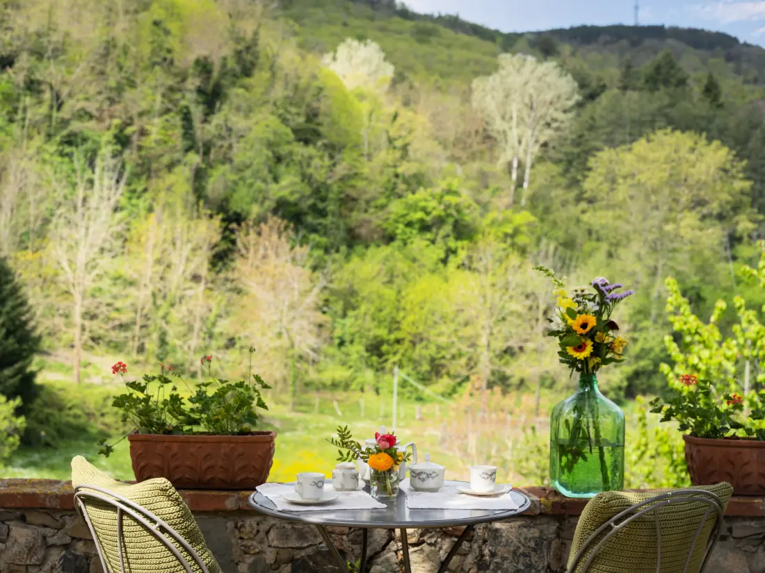 Maison de Vacances Greve in Chianti