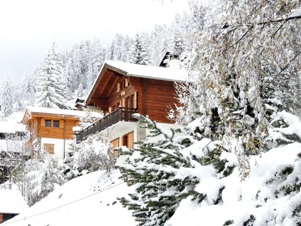 Chalet Grimentz