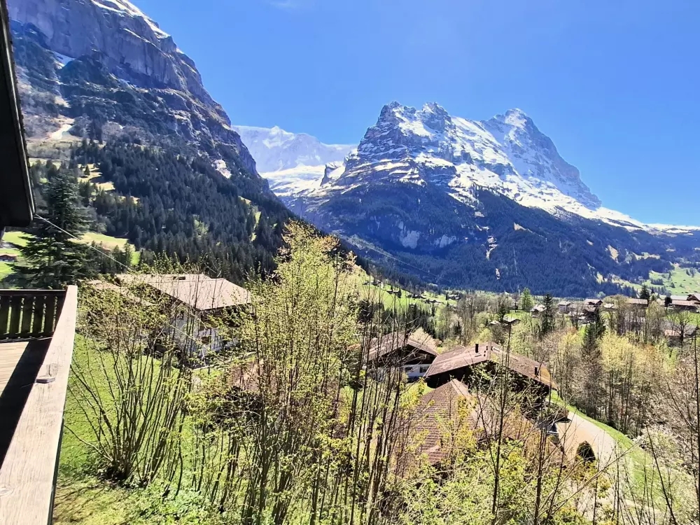 Chalet Grindelwald