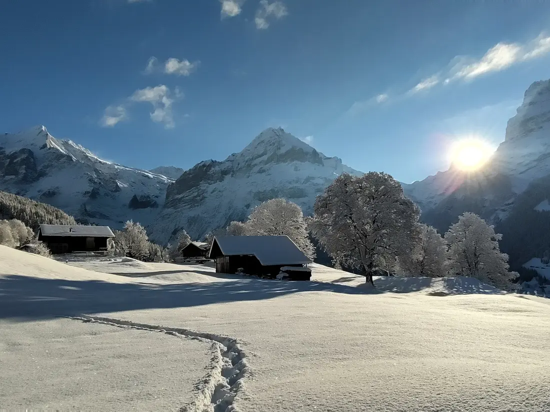 Maison de Vacances Grindelwald
