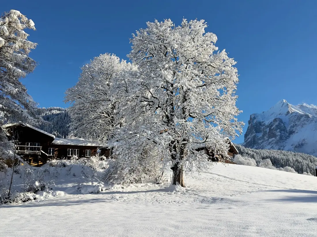 Maison de Vacances Grindelwald