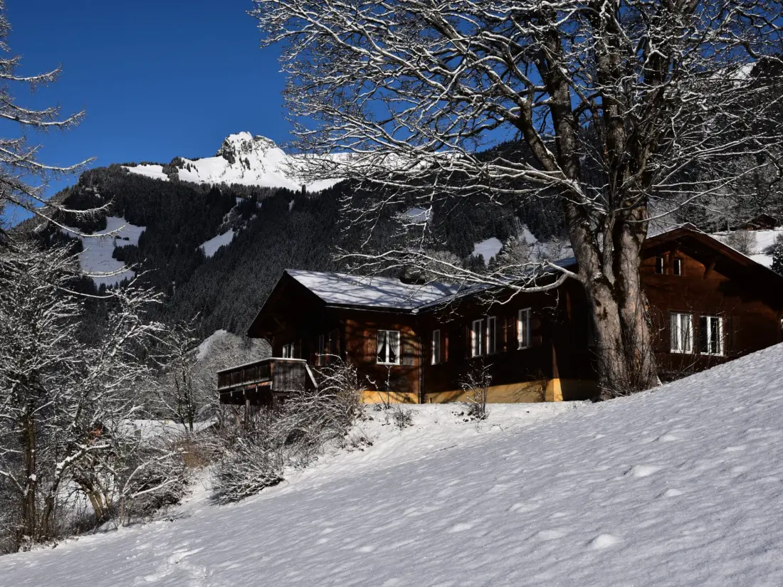Maison de Vacances Grindelwald