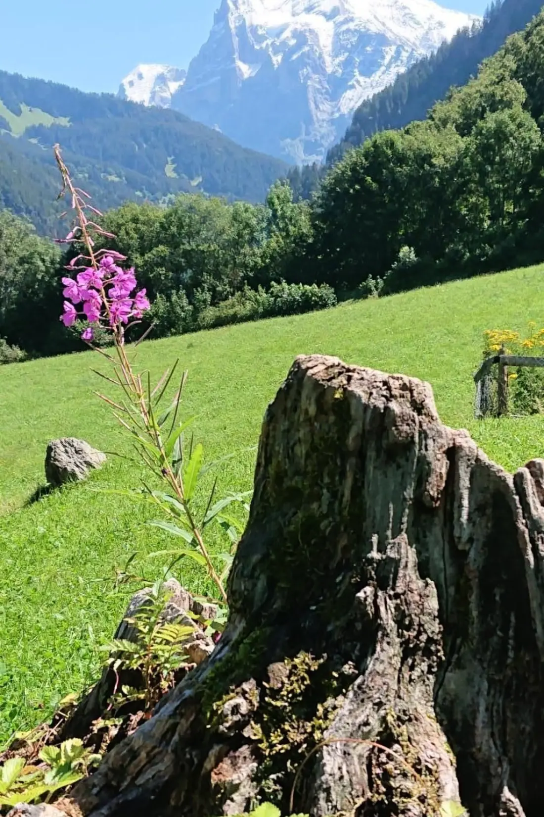 Maison de Vacances Grindelwald