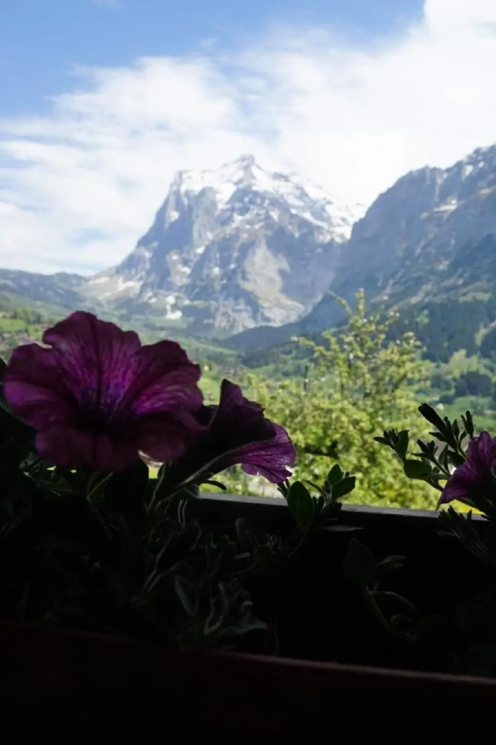 Maison de Vacances Grindelwald