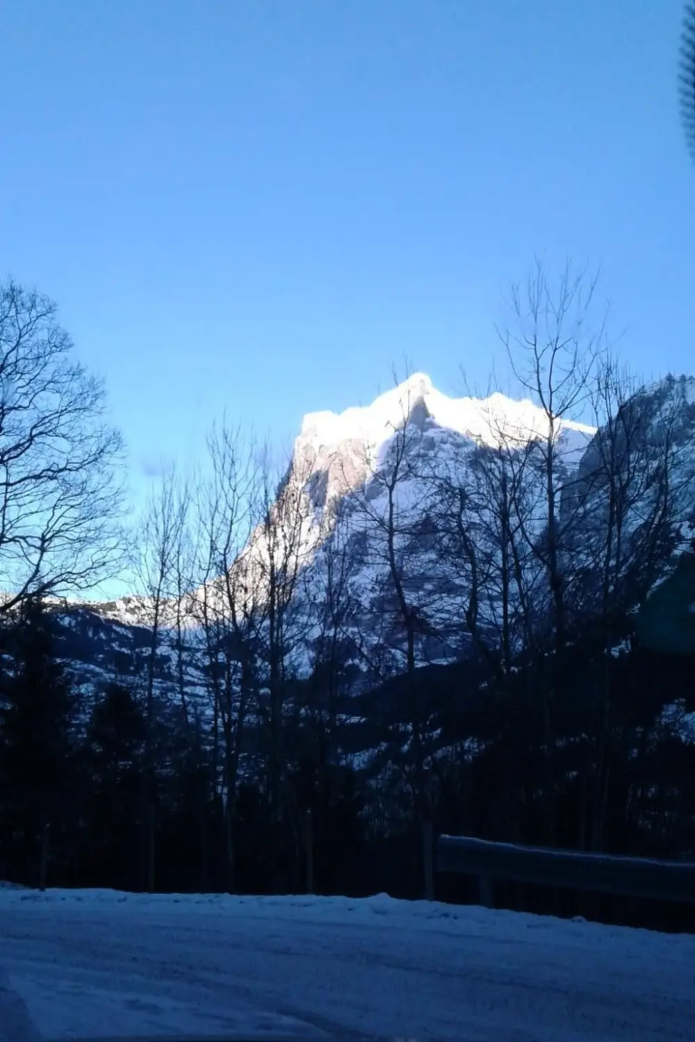 Maison de Vacances Grindelwald