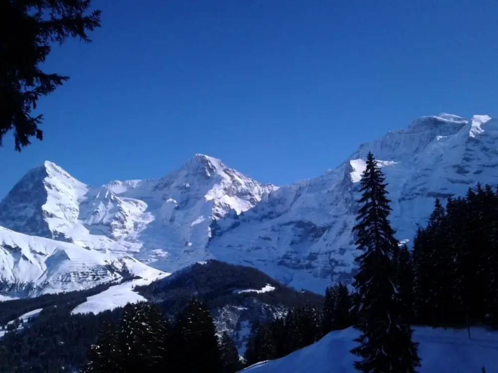 Maison de Vacances Grindelwald