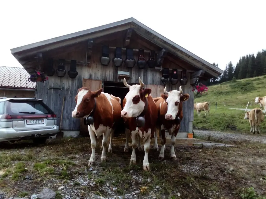 Maison de Vacances Grindelwald