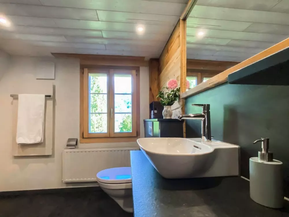 Maison de Vacances Grindelwald