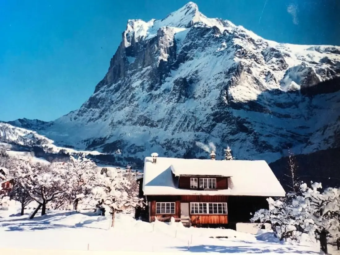 Résidence Beim Faulensee 2-Bett Wohnung  1. Stock  West