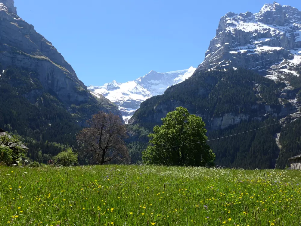 Résidence Chalet Almisgässli