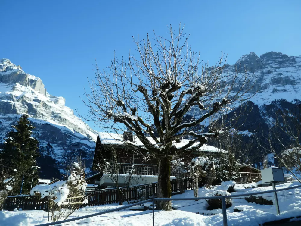 Résidence Chalet Anna