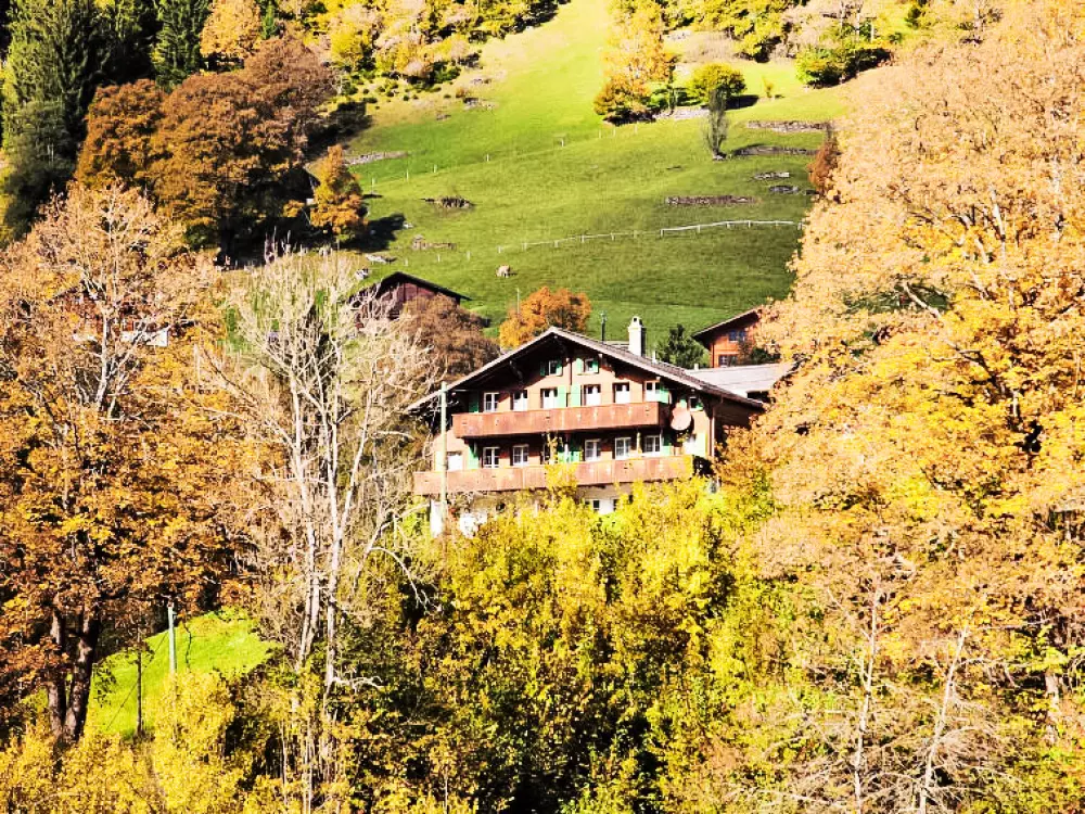 Résidence Chalet Auf dem Vogelstein