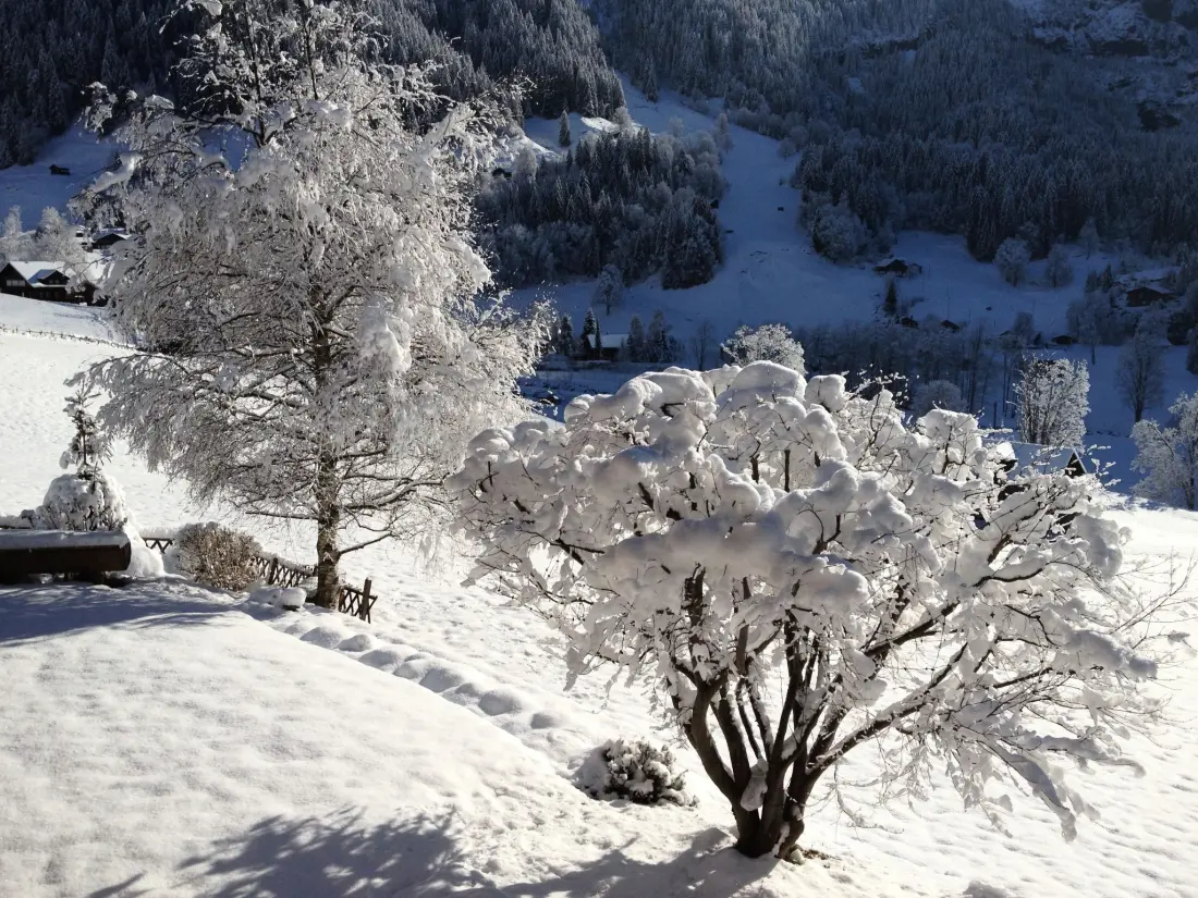 Résidence Chalet Bärgsunna
