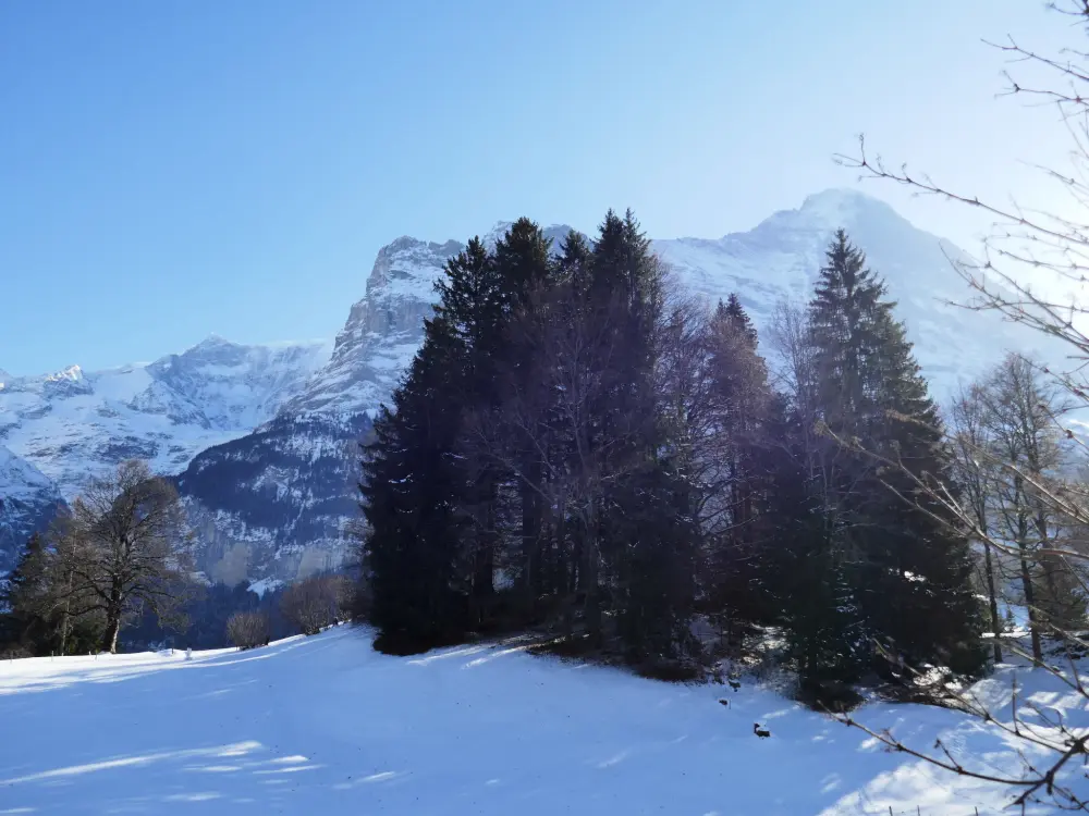 Résidence Chalet Grindelwaldgletscher