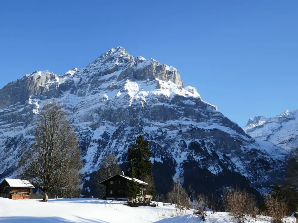 Résidence Chalet Grindelwaldgletscher
