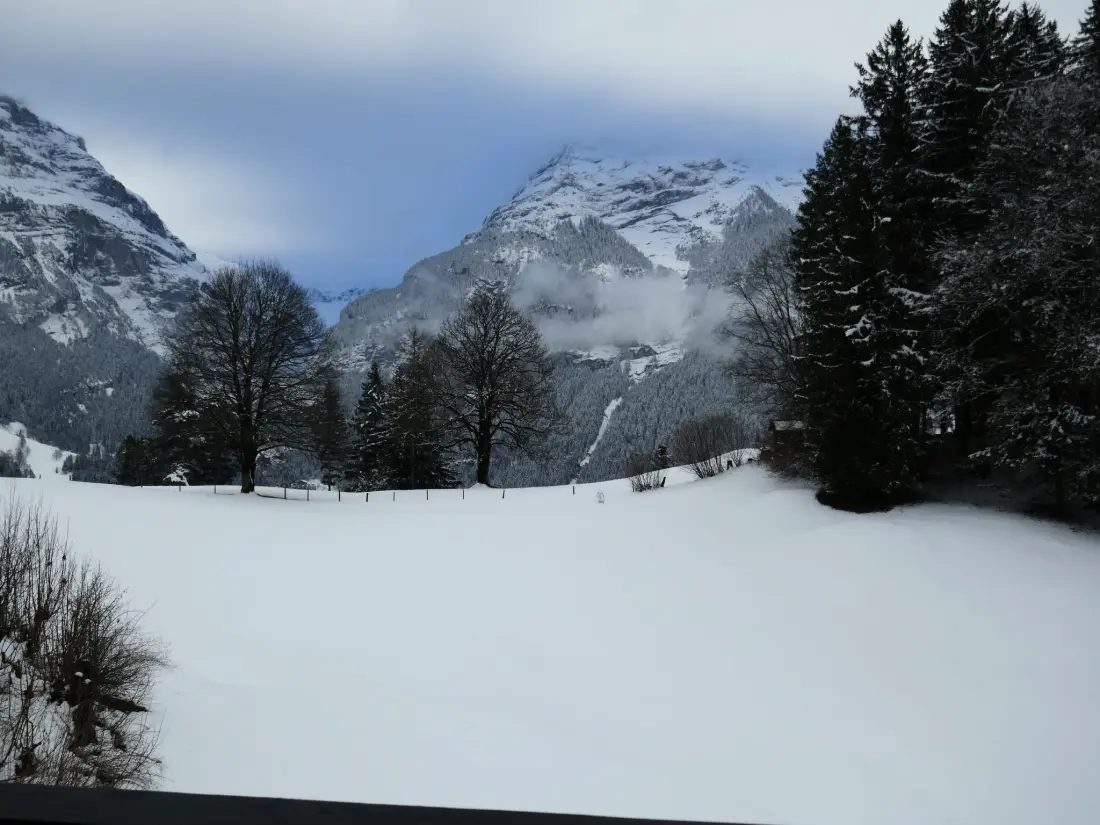 Résidence Chalet Grindelwaldgletscher
