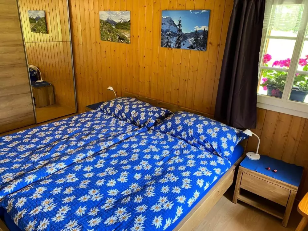 Résidence Chalet Herrschaft 4 Bett Wohnung