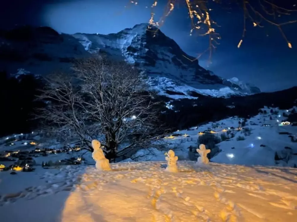 Résidence Chalet Herrschaft 4 Bett Wohnung