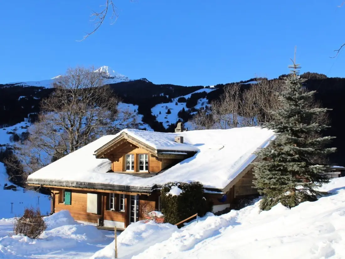 Résidence Chalet Herrschaft 4 Bett Wohnung