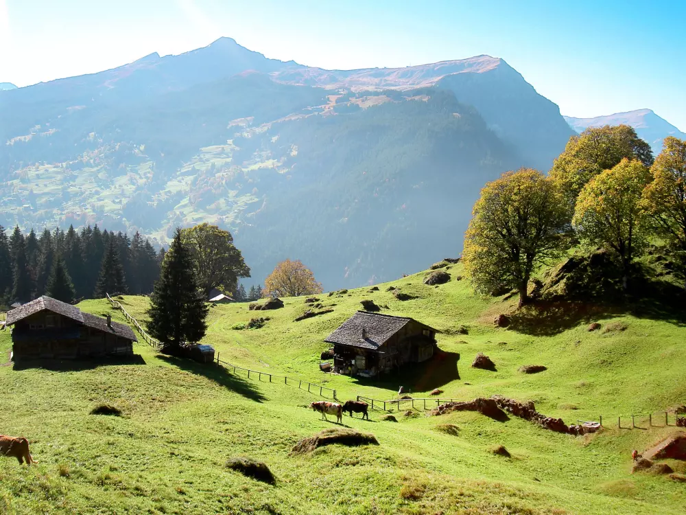 Résidence Chalet Herrschaft 4 Bett Wohnung