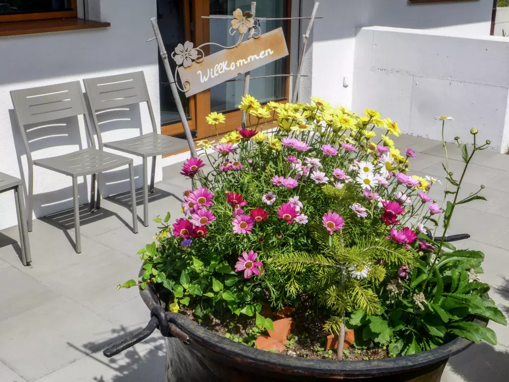 Résidence Chalet La Muntaniala