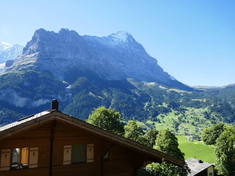 Résidence Chalet Snowflake