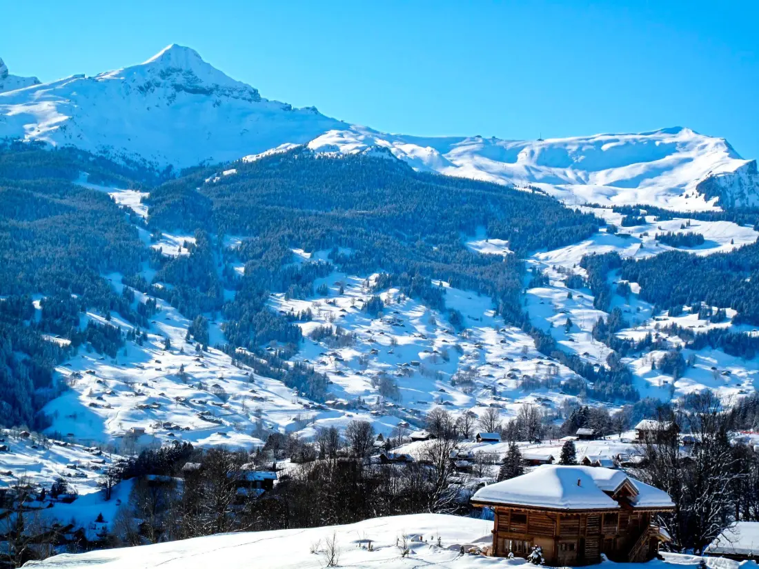 Résidence Chalet uf Duft