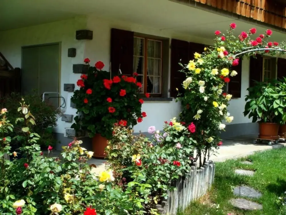 Résidence Chessibach Studio