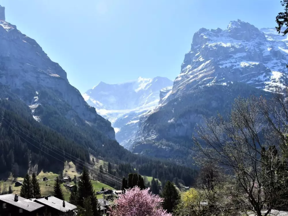 Résidence Hohturnen 2-Zimmer Wohnung