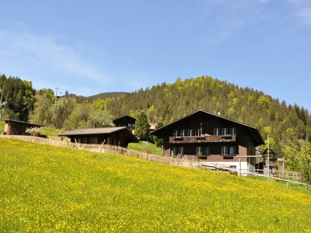Résidence im Chalet Adelheid
