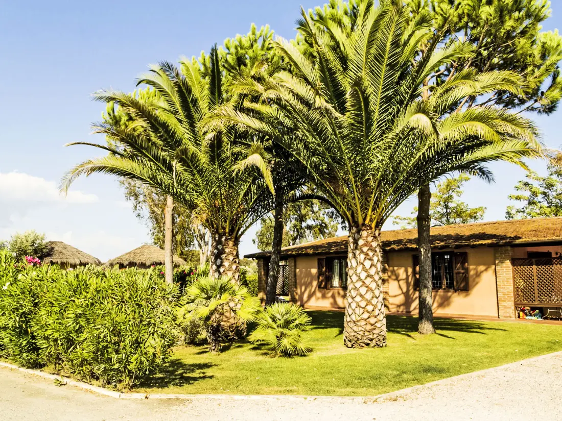 Maison de Vacances Grosseto