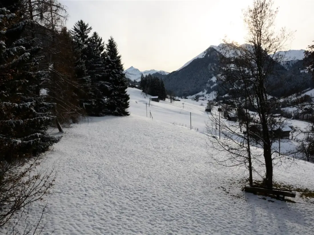 Résidence Les Erables, Chalet Appartement/Fewo, Dusche oder Bad, WC 7-Bettwohnung