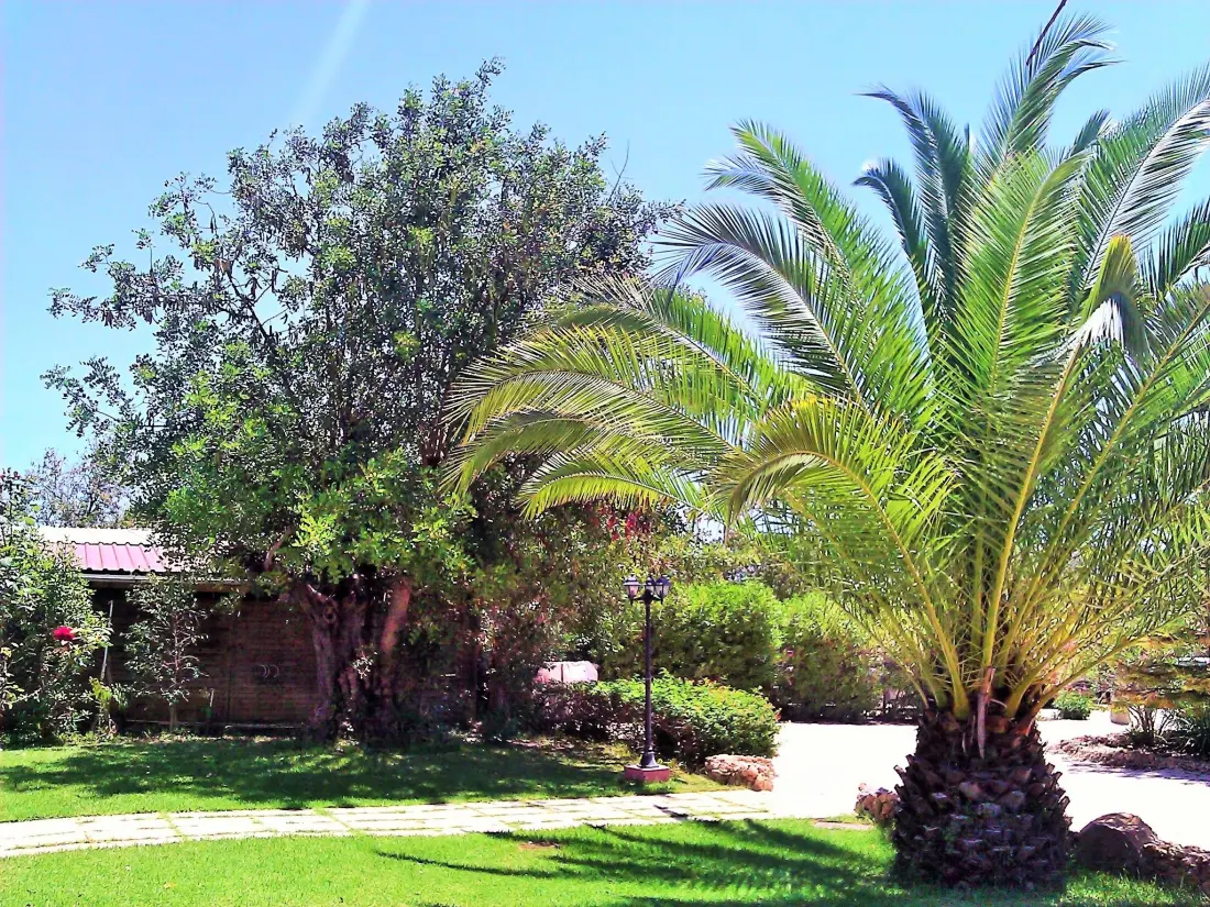 Maison de Vacances Guia