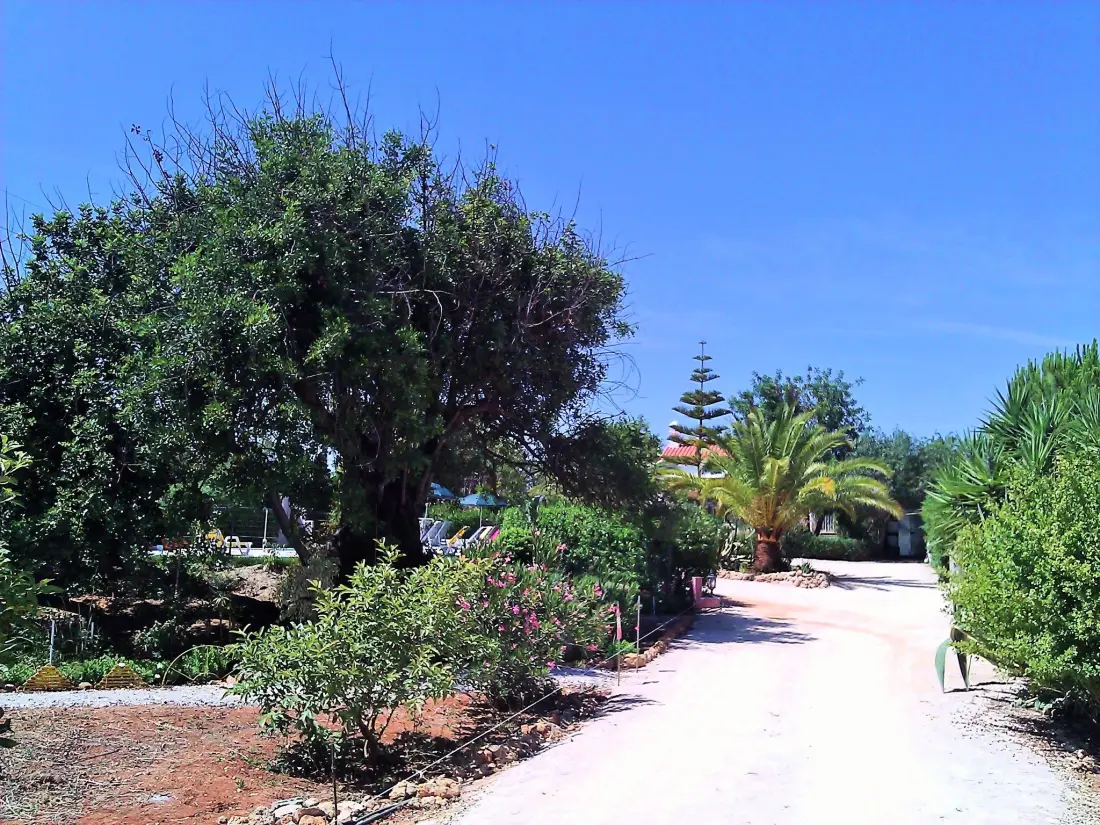 Maison de Vacances Guia