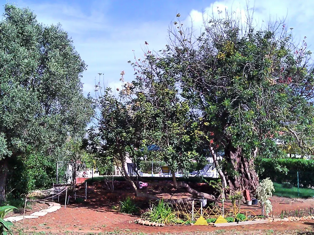 Maison de Vacances Guia