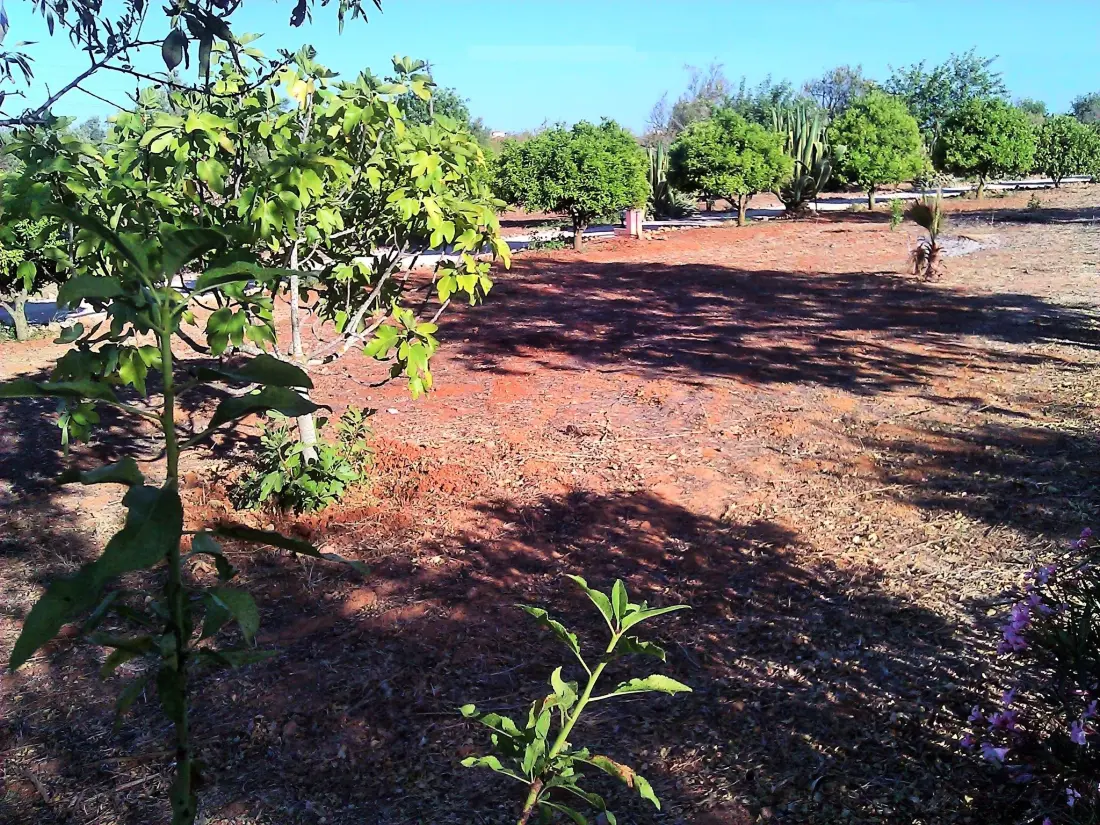 Maison de Vacances Guia