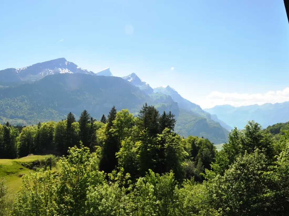 Résidence HasliRent, Eiger, (Hasliberg Reuti),