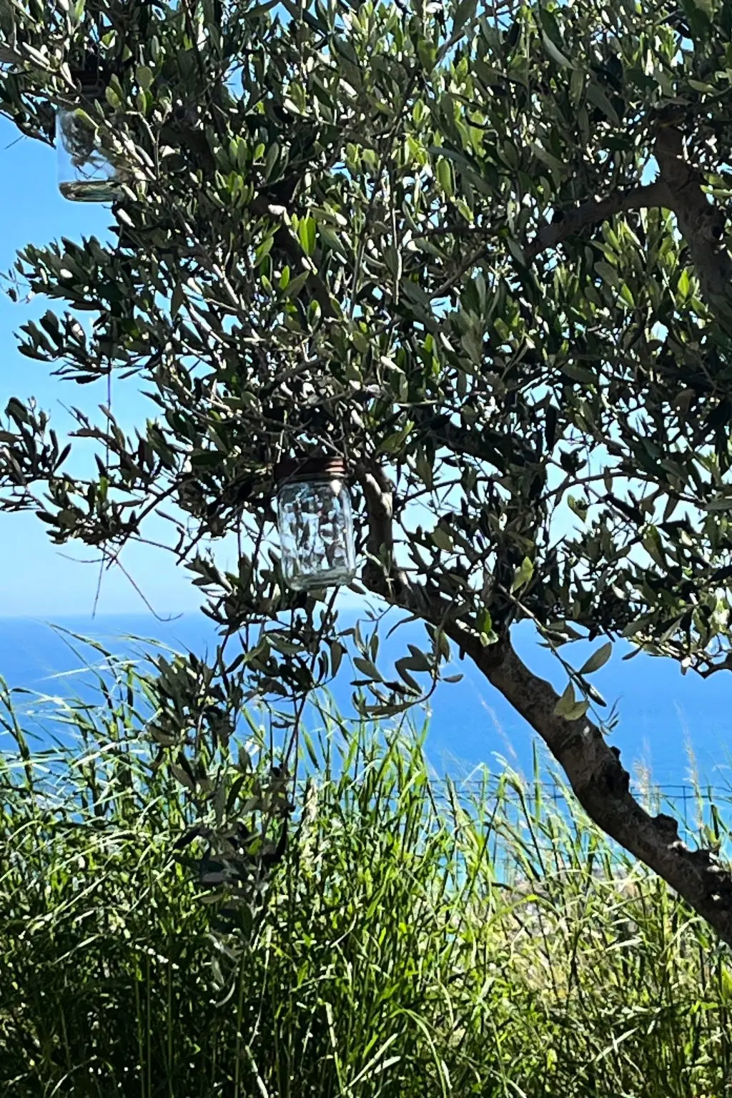 Résidence Bella Vista Poggi 180 Grad Fantastischer Meerblick