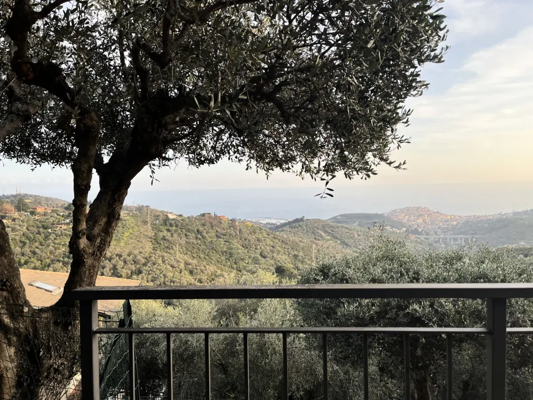 Résidence Casa della Mimosa