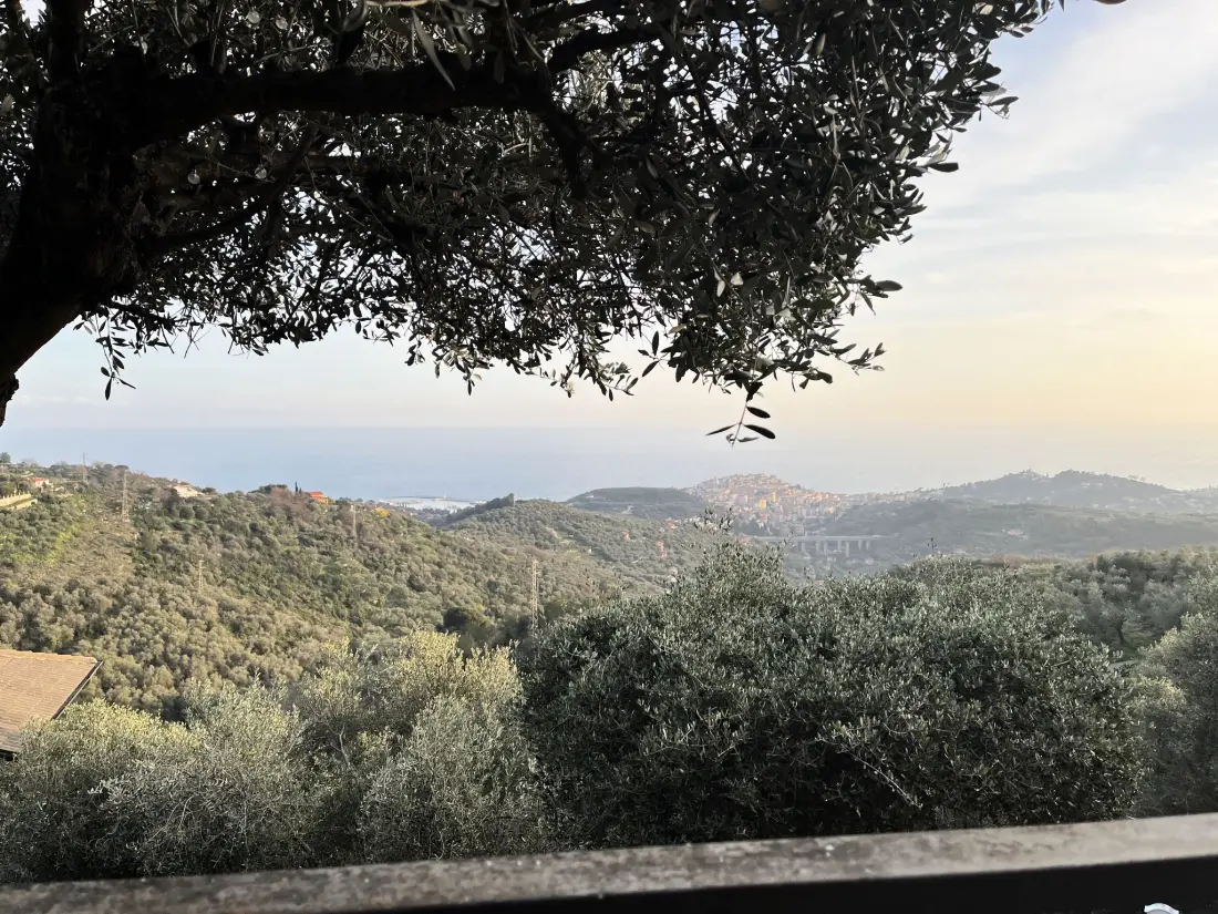 Résidence Casa della Mimosa