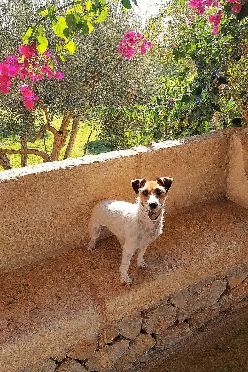 Maison de Vacances Inca