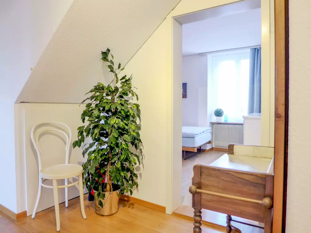 Résidence Bieri-Haus