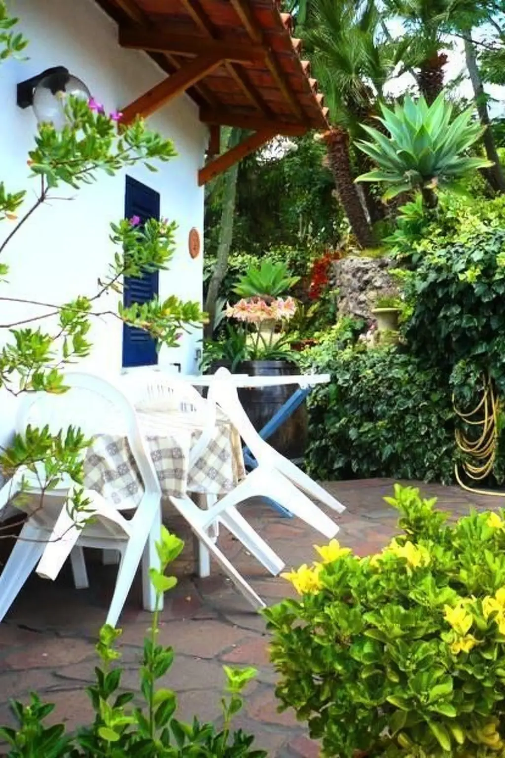 Résidence Studio Hibiskus