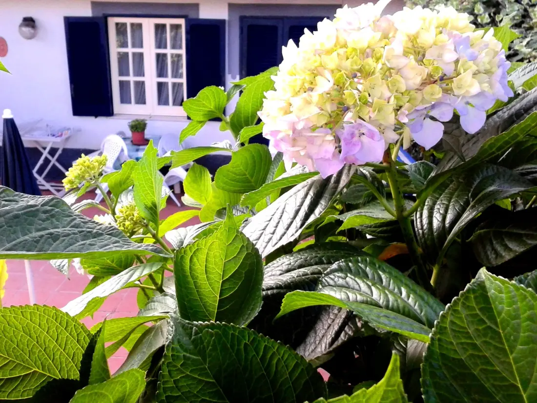 Résidence Ferienwohnung La Terraza mit Terrasse