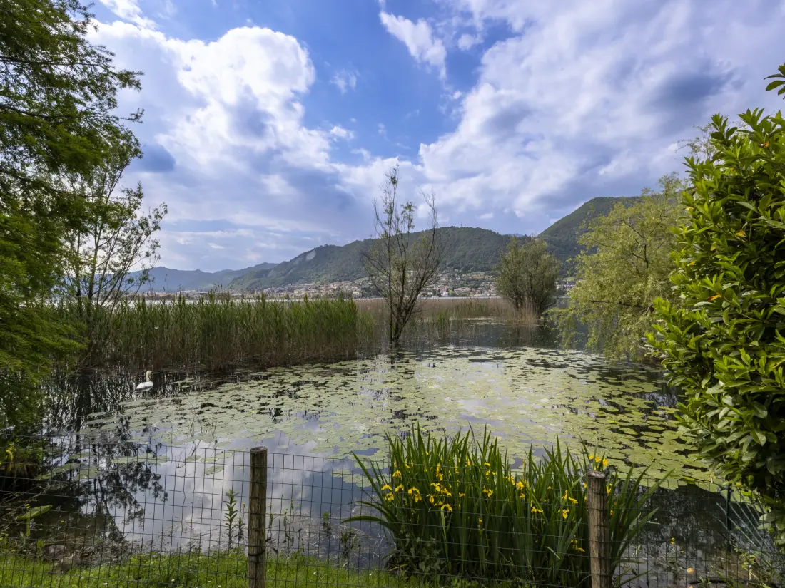 Maison de Vacances Iseo
