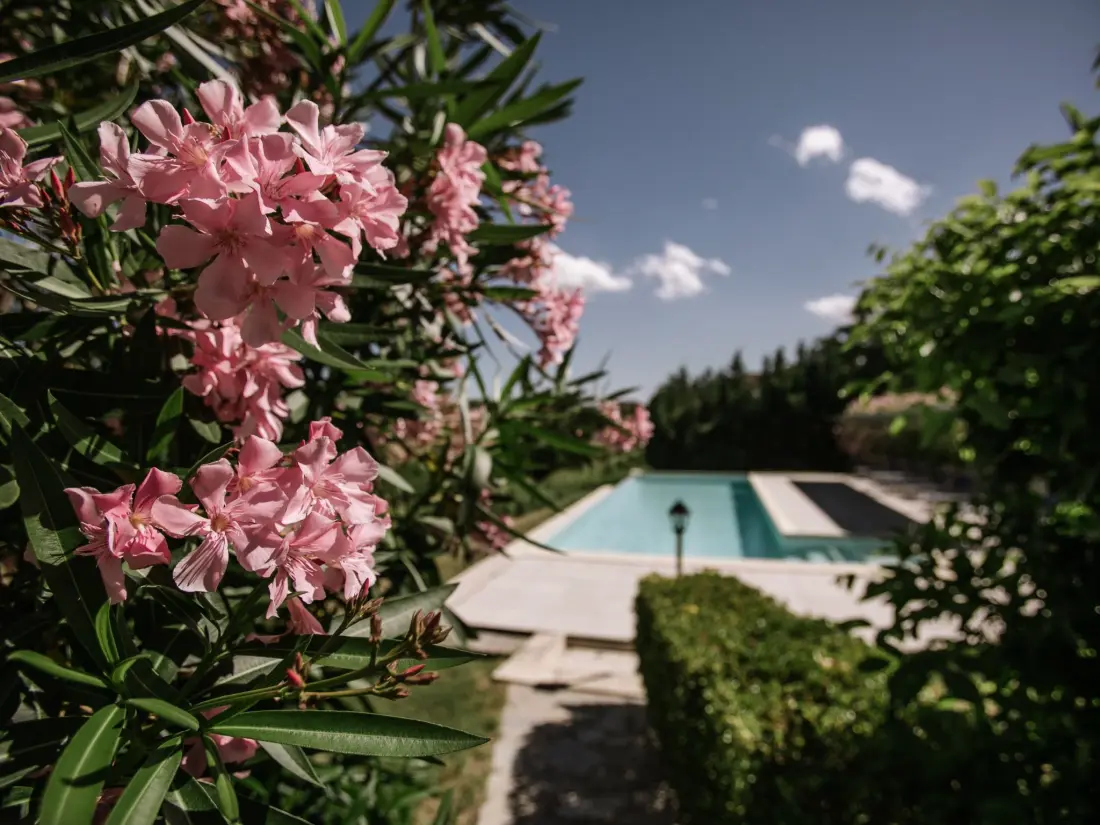 Résidence 'Barbera' mit Pool